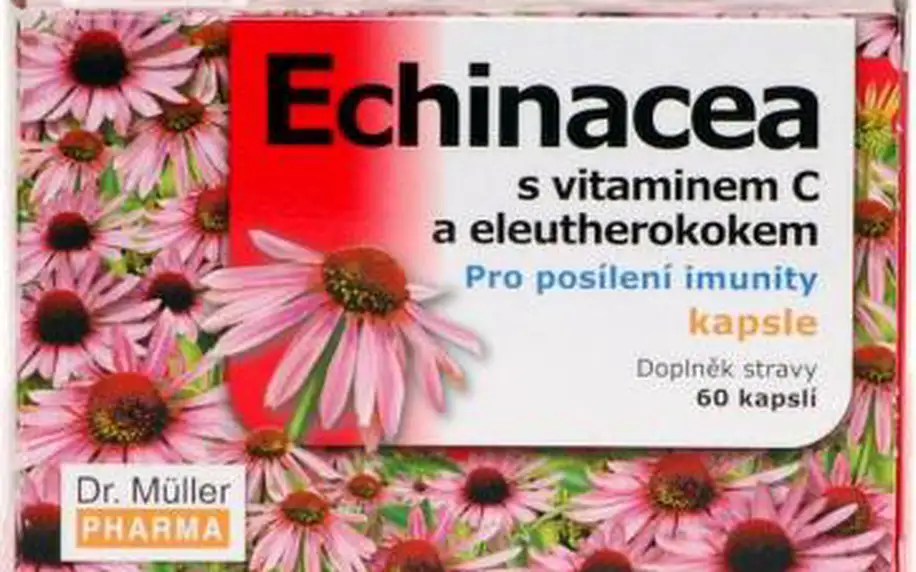 Echinacea kapsle 60 ks přispívá k normální funkci imunitního systému