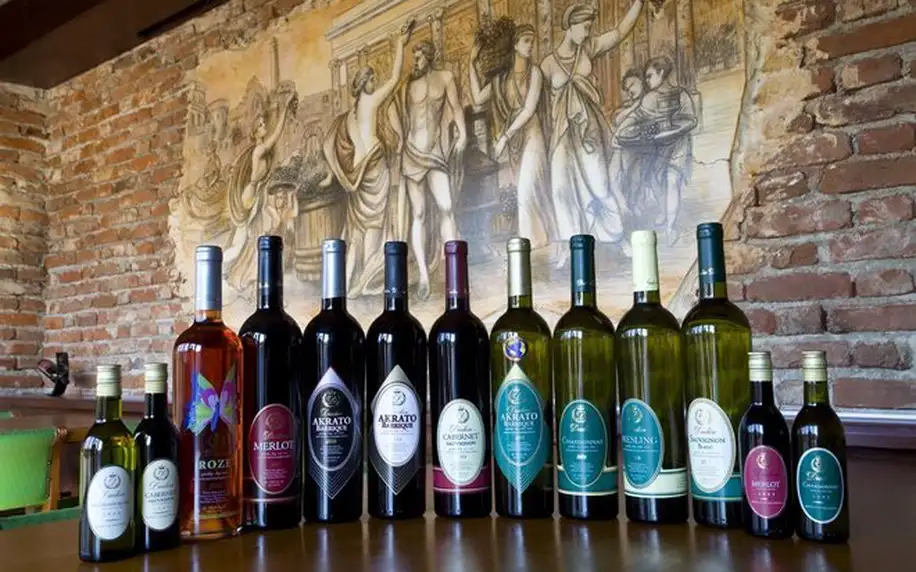 Sada 4 archivních vín z rodinného vinařství Dudin