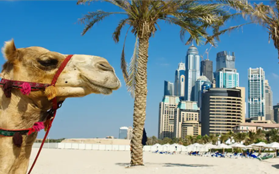 Zimní dovolená pod rozzářeným arabským sluncem. Prožijte báječný týden v útulném městském hotelu Dubaje v blízkosti tržnice a obchodního centra. Termín 14.1.-21.1.2015.