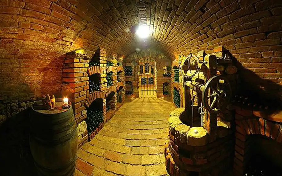 3denní vinařský pobyt v penzionu Rendezvous nedaleko Břeclavi pro 2 osoby