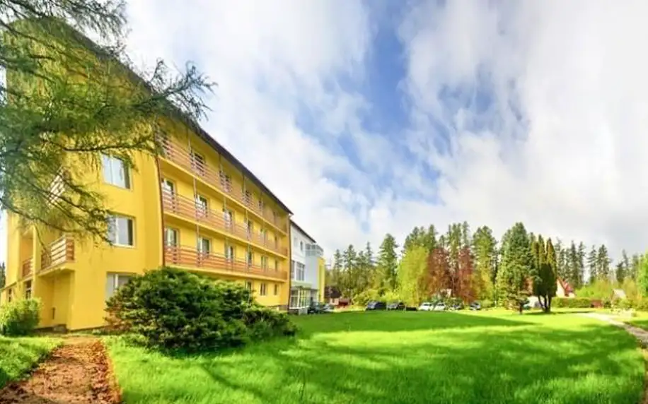 Tatry s polopenzí a wellness