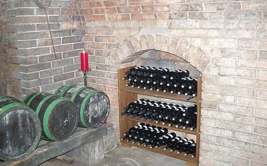 Vinařský pobyt v Lechovicích u Znojma