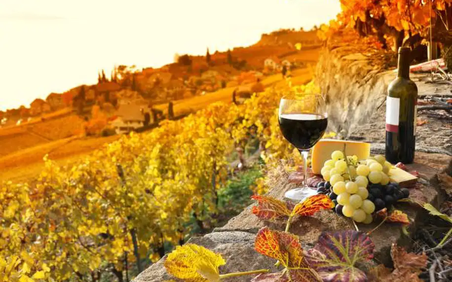 4denní zájezd do Toskánska, Florencie a Sieny s ubytováním a ochutnávkou vína pro 1 osobu