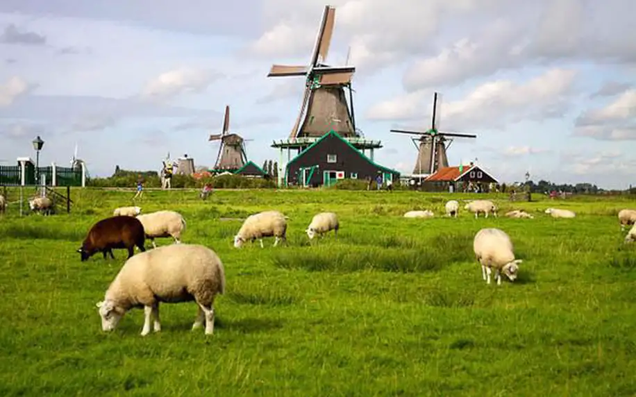 4denní zájezd do Holandska s návštěvou Delfinária a větrných mlýnů pro jednoho