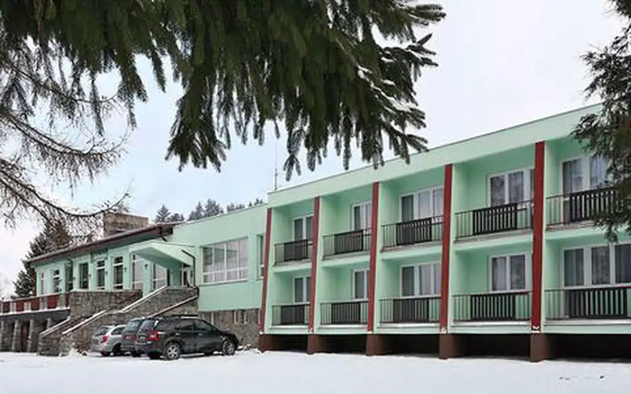 Wellness pobyt s polopenzí pro dva v Hotelu Racek u Lipenské přehrady nedaleko Ski areálu Lipno! Možnost využití i přes víkend!