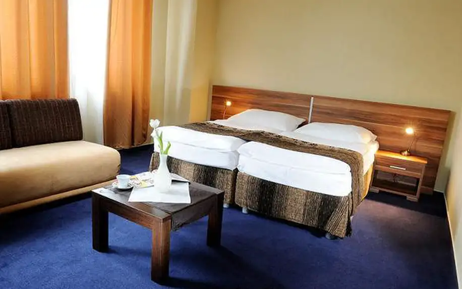 3–4denní pobyt pro 2 s polopenzí a wellness v hotelu Victoria na Slovensku