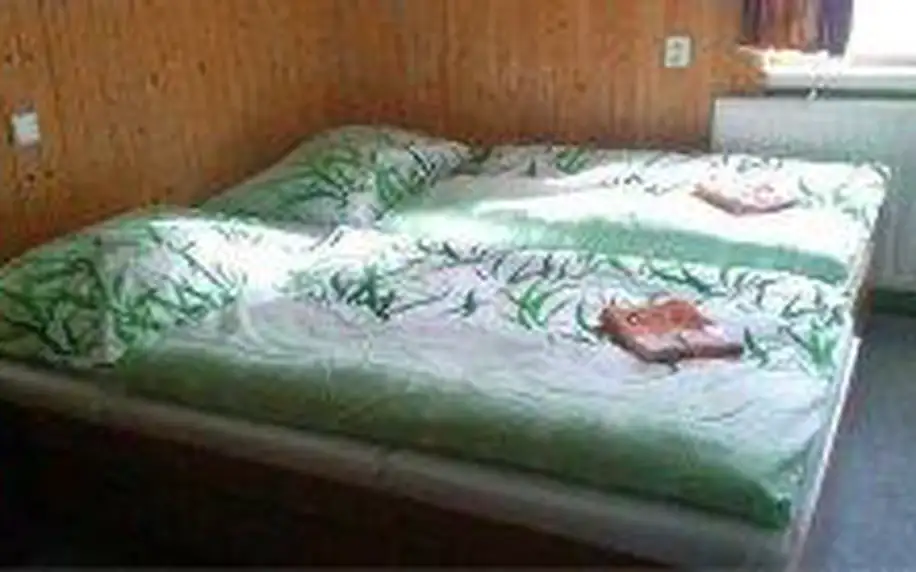 3 až 6denní pobyt s polopenzí pro 2 osoby v hotelu Orlice v Orlických horách