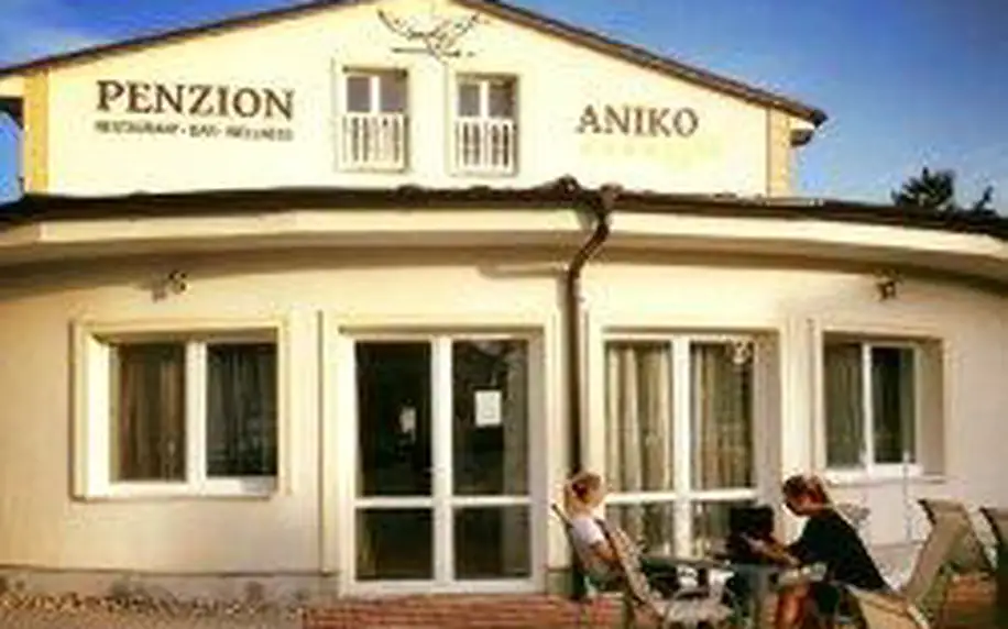 3–6denní wellness pobyt v penzionu Aniko Gold u Galanty na Slovensku pro 2 osoby