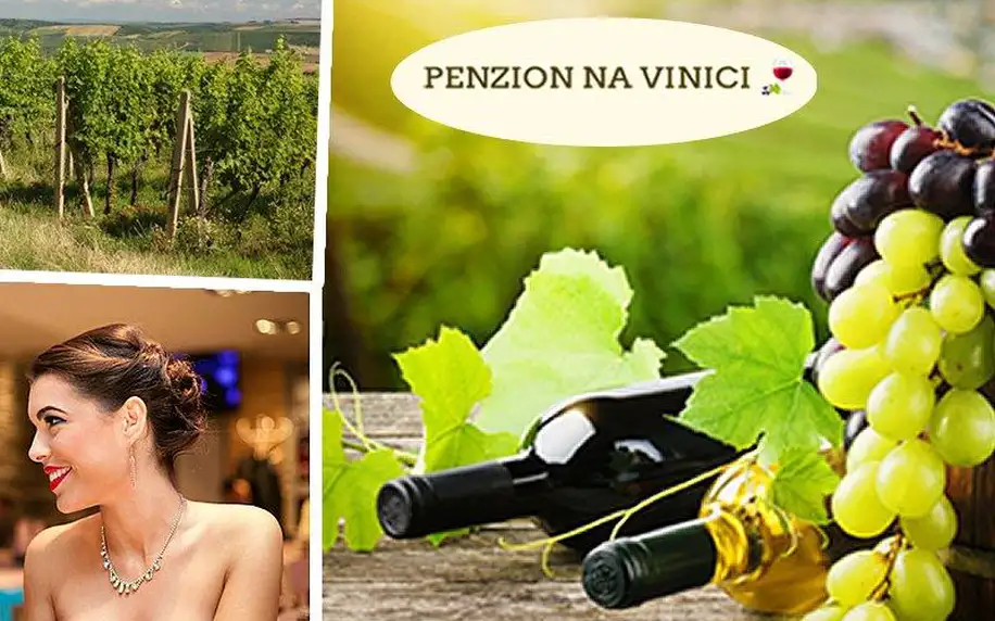 Vinařský pobyt pro dva v penzionu Na Vinici, degustace vína, polopenze, pitný režim, relax v bazénu.