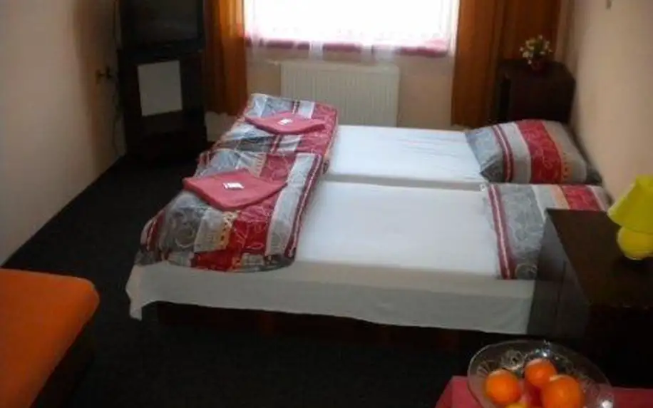 3 až 6denní pobyt pro 2 s polopenzí a wellness v hotelu Salivar na Šumavě