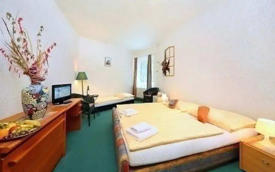 3 nebo 4denní wellness pobyt pro 2 s plnou penzí v hotelu Resident Harrachov v Krkonoších