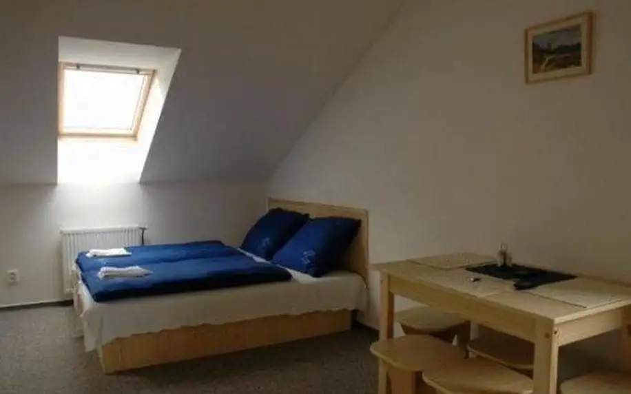 3–6denní pobyt v apartmánech Ski-Bike Apartments Samoty na Šumavě pro 2