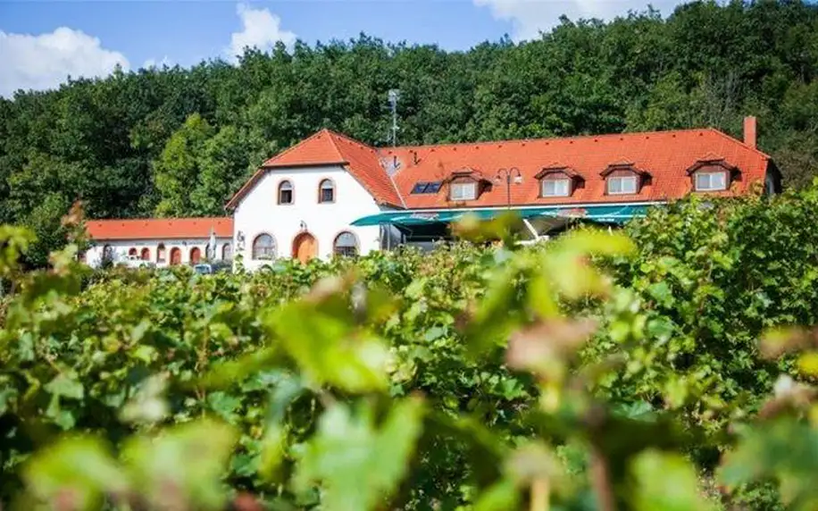 3 či 5denní pobyt s neomezenou konzumací vína pro 2 osoby v hotelu Sádek u Třebíče