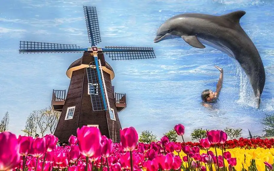 4denní zájezd do Holandska s ubytováním a návštěvou větrných mlýnů a delfinária pro 1