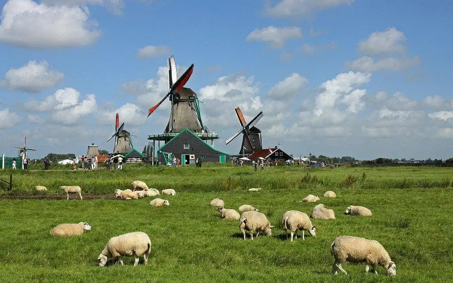 Víkend v Amsterdamu, návštěva sýrárny i mlýnů