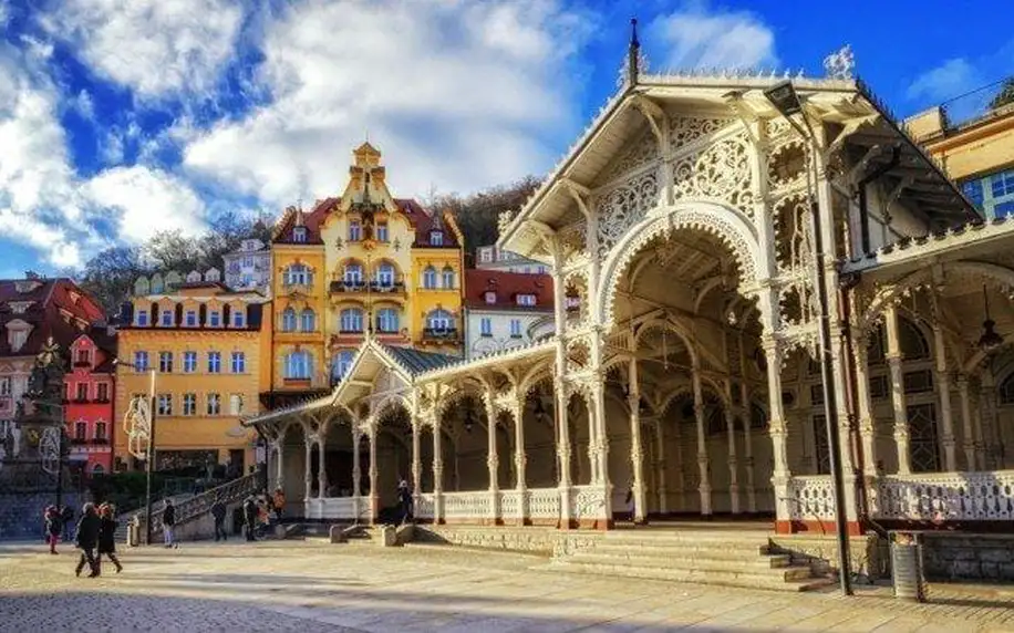 Karlovy Vary luxusně s wellness a bazénem