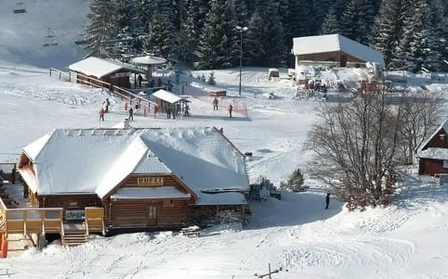Celodenní skipas pro dospělou osobu ve středisku Malinô Brdo ski & bike park