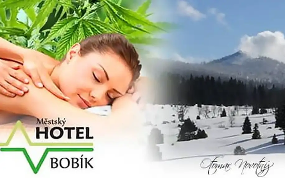 Největší konopné lázně v Evropě s dítětem do 12 let zdarma, polopenzí a all inclusive nápoji v Hotelu Bobík s vlastním minipivovarem, platnost až do 30. 6. 2017