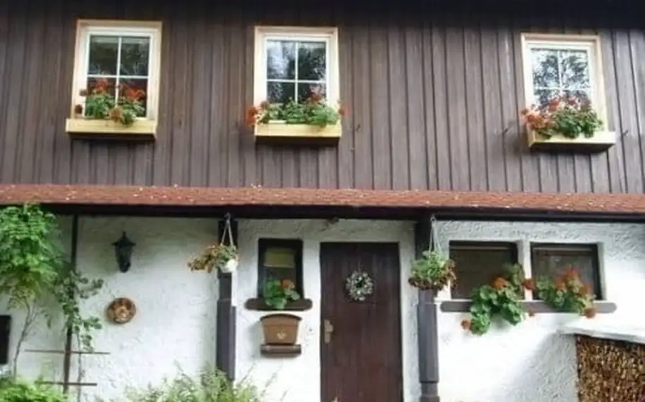 3 až 7denní pobyt pro 2–6 osob se snídaněmi a saunou v Krkonoších v penzionu Herlíkovice