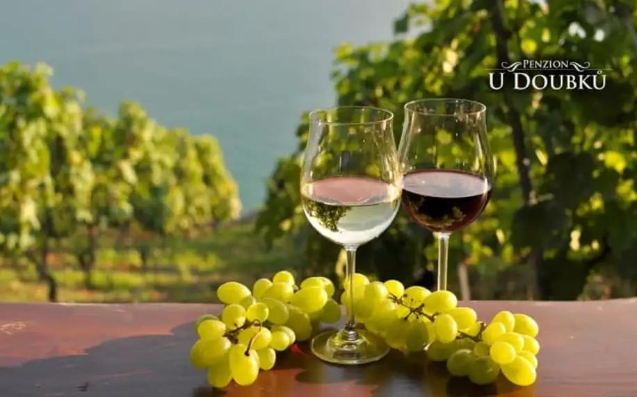 Jižní Morava s polopenzí a degustací vín
