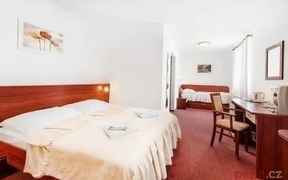 2–4denní pobyt se snídaněmi či polopenzí v hotelu Marie-Luisa v Praze pro 2 osoby