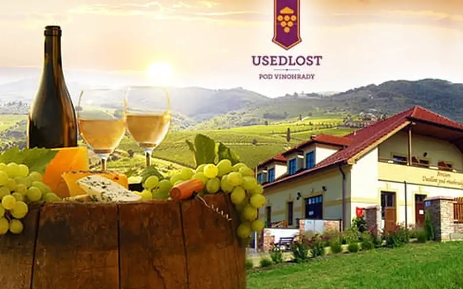 Lednicko-valtický areál, Morava: 3denní vinařský pobyt pro dva + polopenze, degustace a bazén