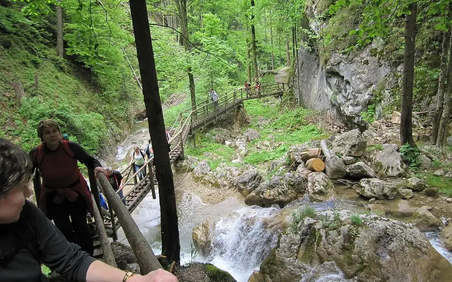 Výlet do kaňonu Medvědí soutěska v Rakousku