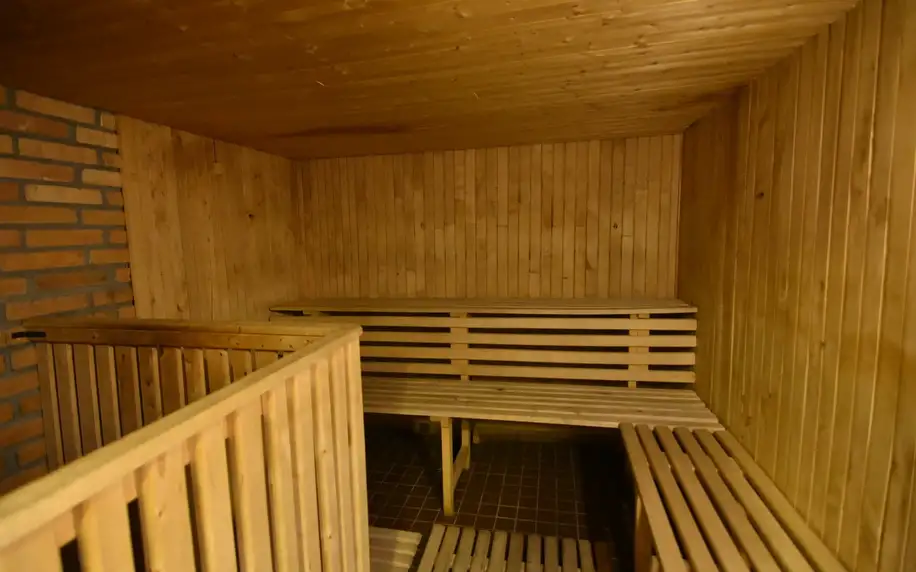 Dovolená s polopenzí a saunou v Krkonoších