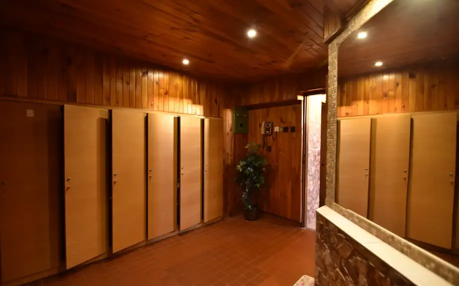 Dovolená s polopenzí a saunou v Krkonoších