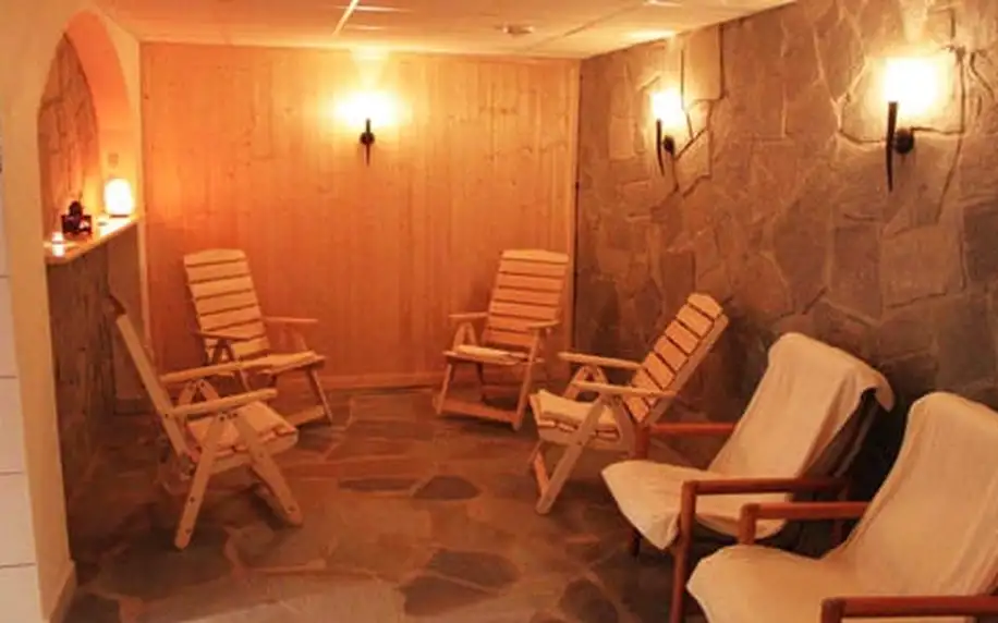 Horský wellness hotel VIDLY **** s polopenzí a saunou pro dva, dítě do 12 let zdarma