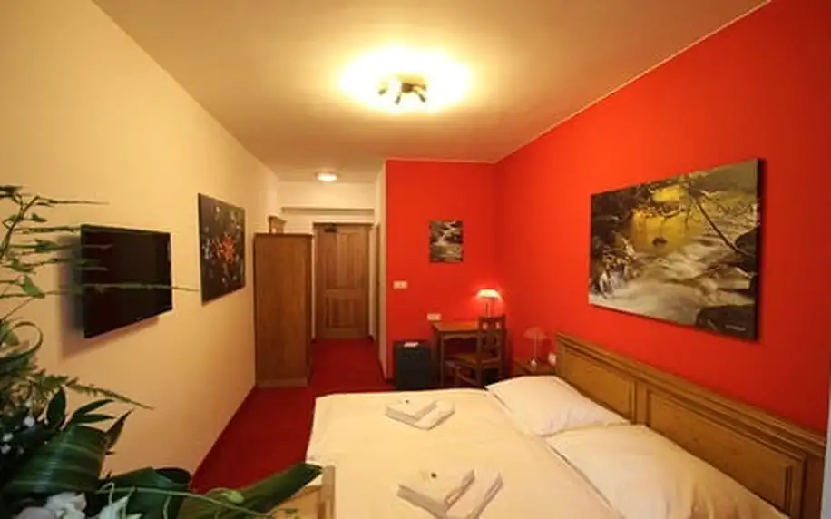 Horský wellness hotel VIDLY **** s polopenzí a saunou pro dva, dítě do 12 let zdarma