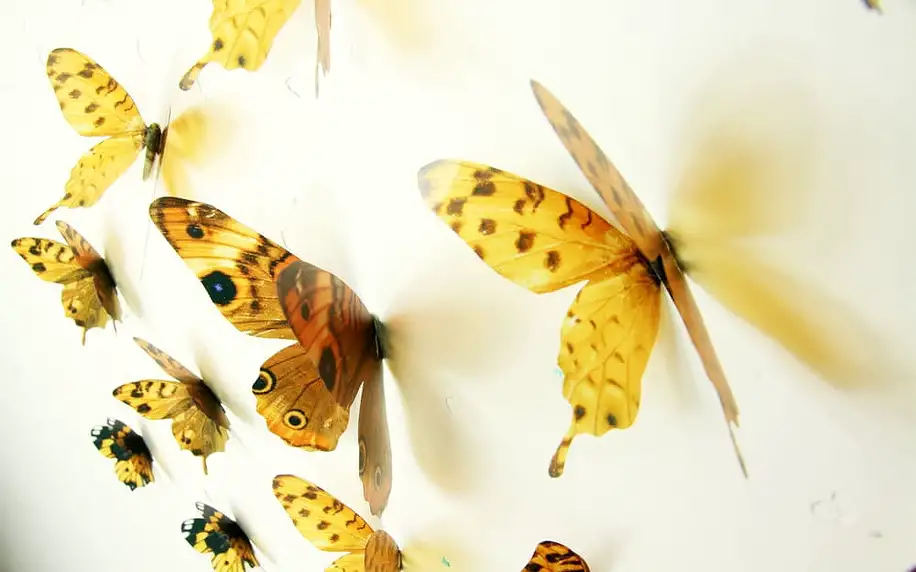 Sada 18 adhezivních 3D samolepek Fanastick Butterflies Yellow