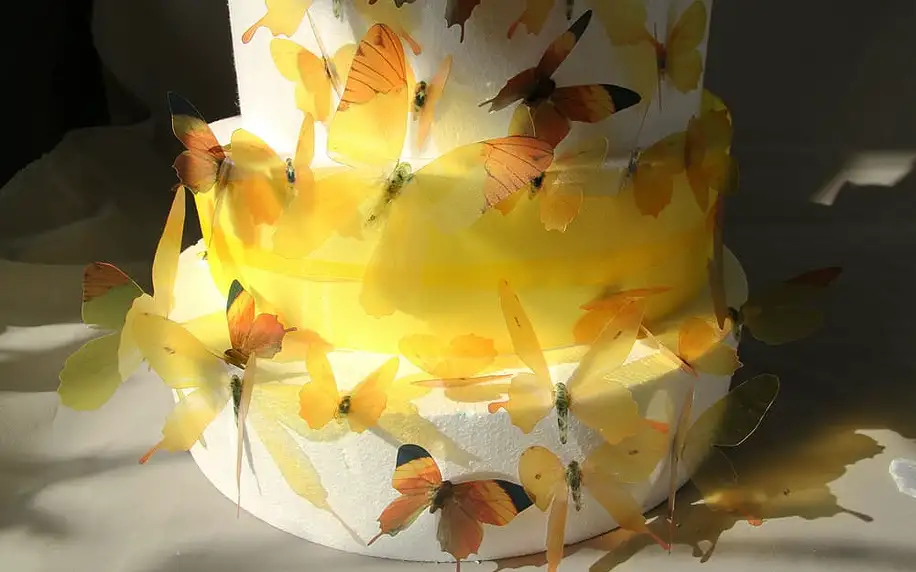 Sada 18 adhezivních 3D samolepek Fanastick Butterflies Yellow