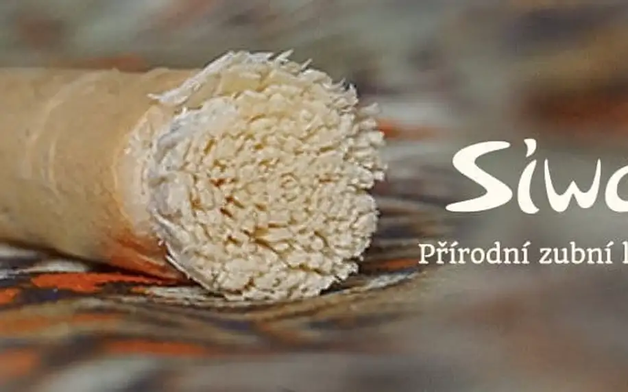 Zoubky jako perličky: Přírodní kartáčky Siwak