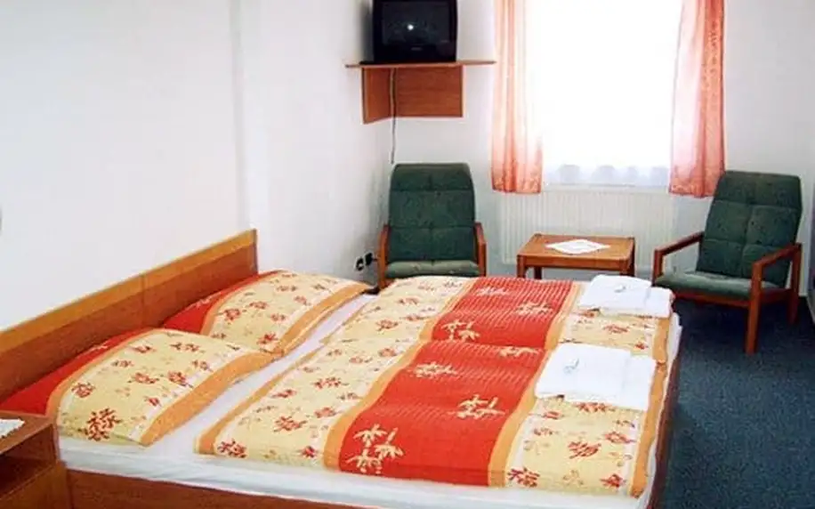3–6denní pobyt pro 2 osoby s polopenzí v hotelu Alf*** v jižních Čechách