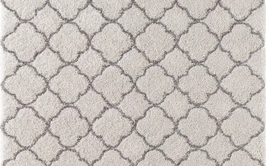 Světlý koberec Mint Rugs Grace, 80 x 150 cm - doprava zdarma!