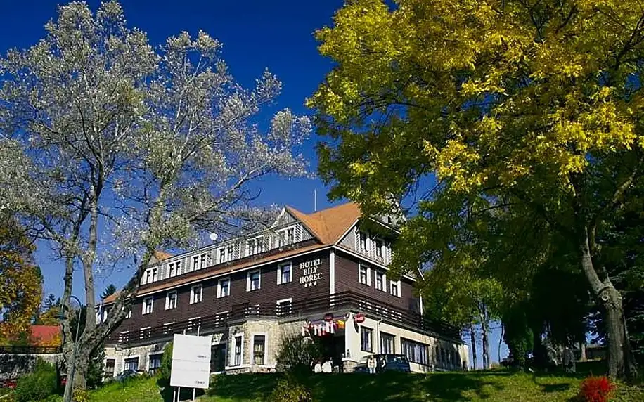 Hotel Spa Bílý Hořec s polopenzí a wellness