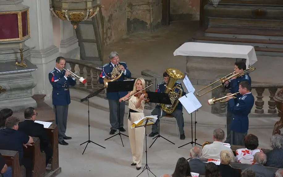 Vstupenka na koncert klasické hudby v Museu Kampa