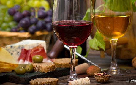 Litr skvělého vína a talíř dobrot ve Wine Studiu