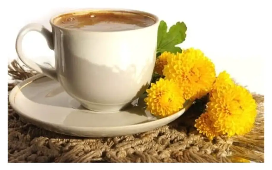 Zdravá káva z čekanky či pampelišky bez kofeinu