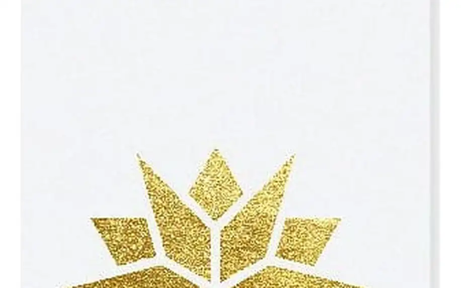 TAFELGUT Vánoční štítek Star White 6x10,5 cm, bílá barva, zlatá barva, papír (slevový kód JEZISEK24 na -24 %)