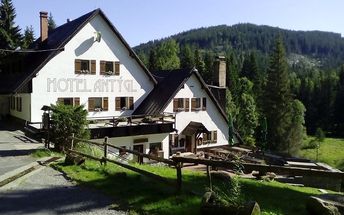 Hotel Antýgl