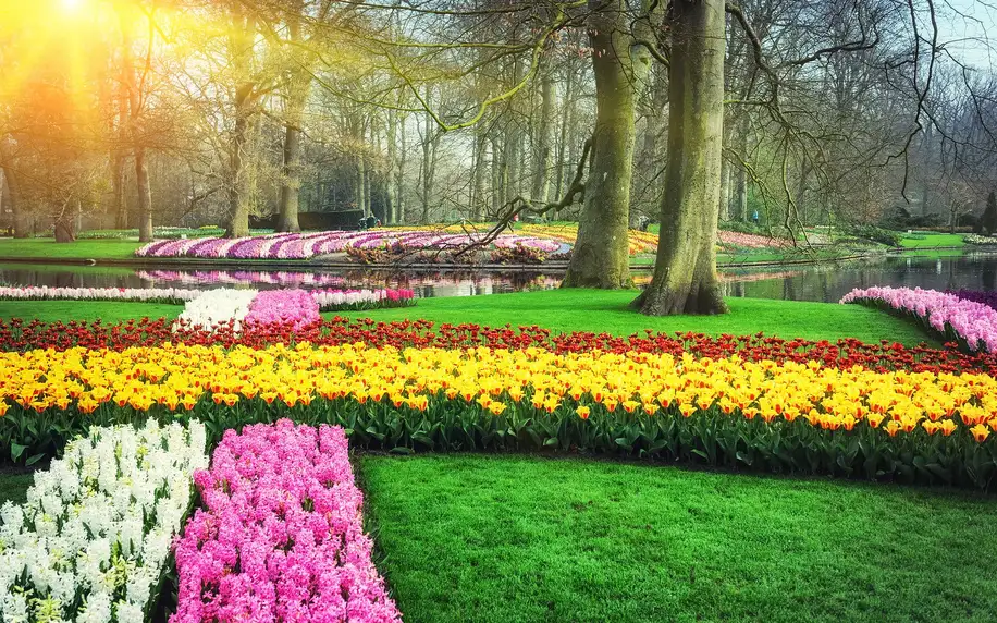 Návštěva květinového parku Keukenhof i Amsterdamu