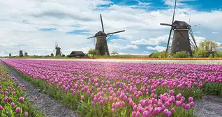 Nizozemsko a jeho zajímavosti