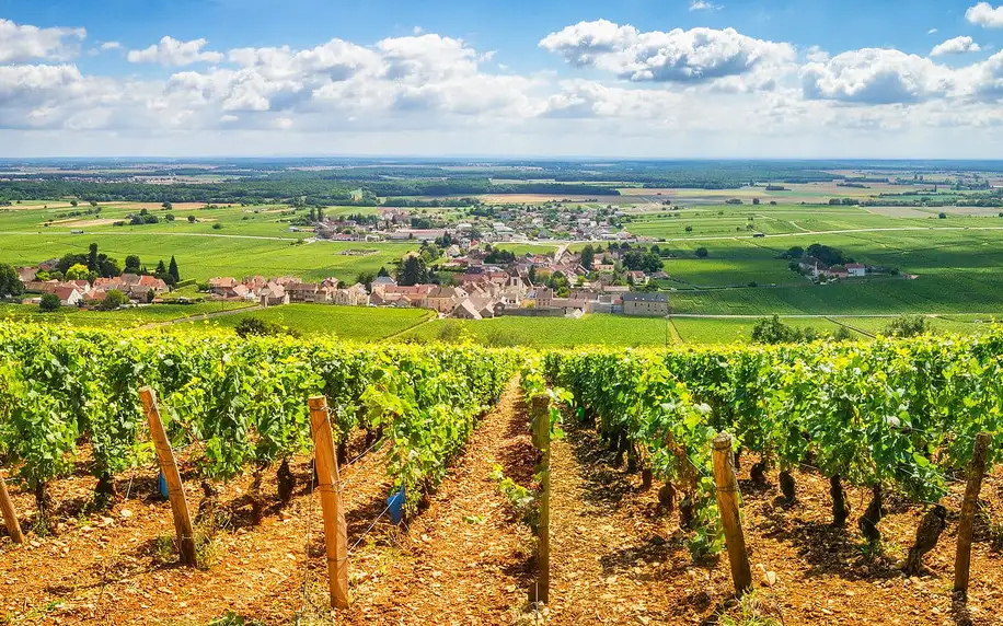 Kouzlo vinohradu: pobyt s koštováním vín