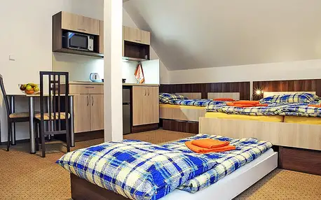 Moderní apartmány v Krkonoších až pro 5 osob