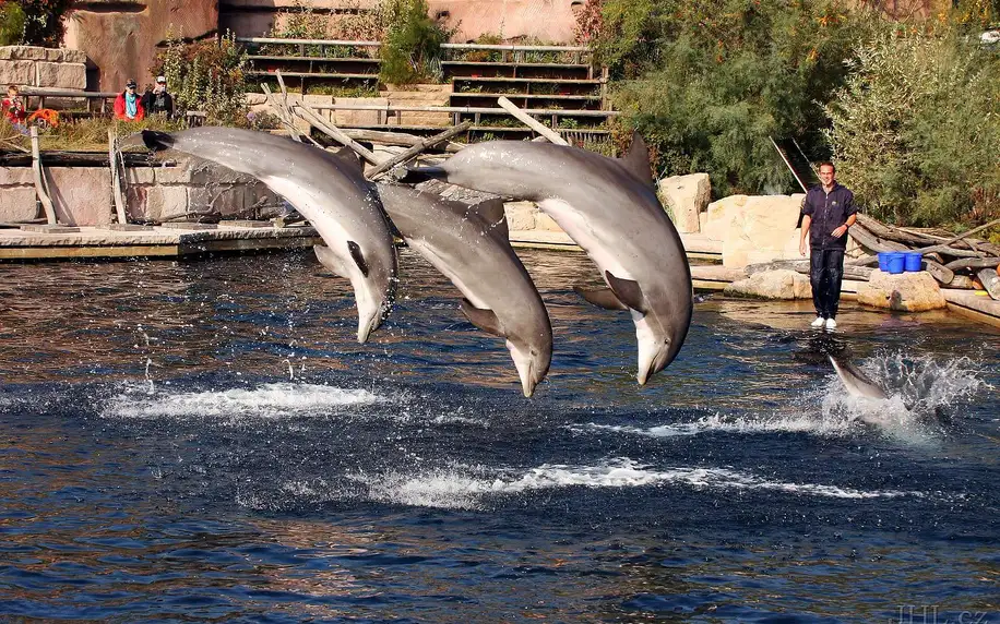 Jednodenní výlet do Norimberku: zoo a delfinárium