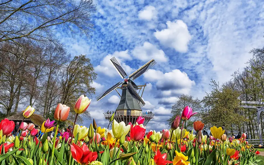 Návštěva květinového parku Keukenhof i Amsterdamu