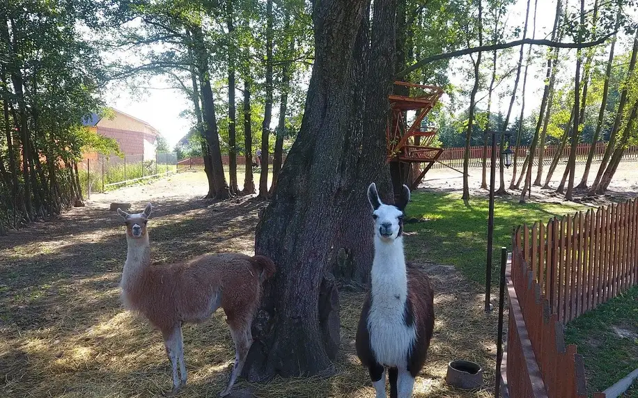 Hotel Rokytenka s wellness, čtyřkolkami a mini ZOO po celý rok 2019