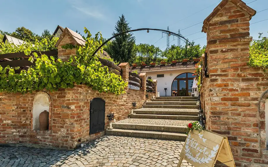 Vinný sklep Krýsa s degustací: únor - duben 2019 na jižní Moravě